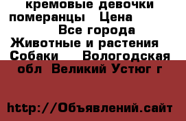 кремовые девочки померанцы › Цена ­ 30 000 - Все города Животные и растения » Собаки   . Вологодская обл.,Великий Устюг г.